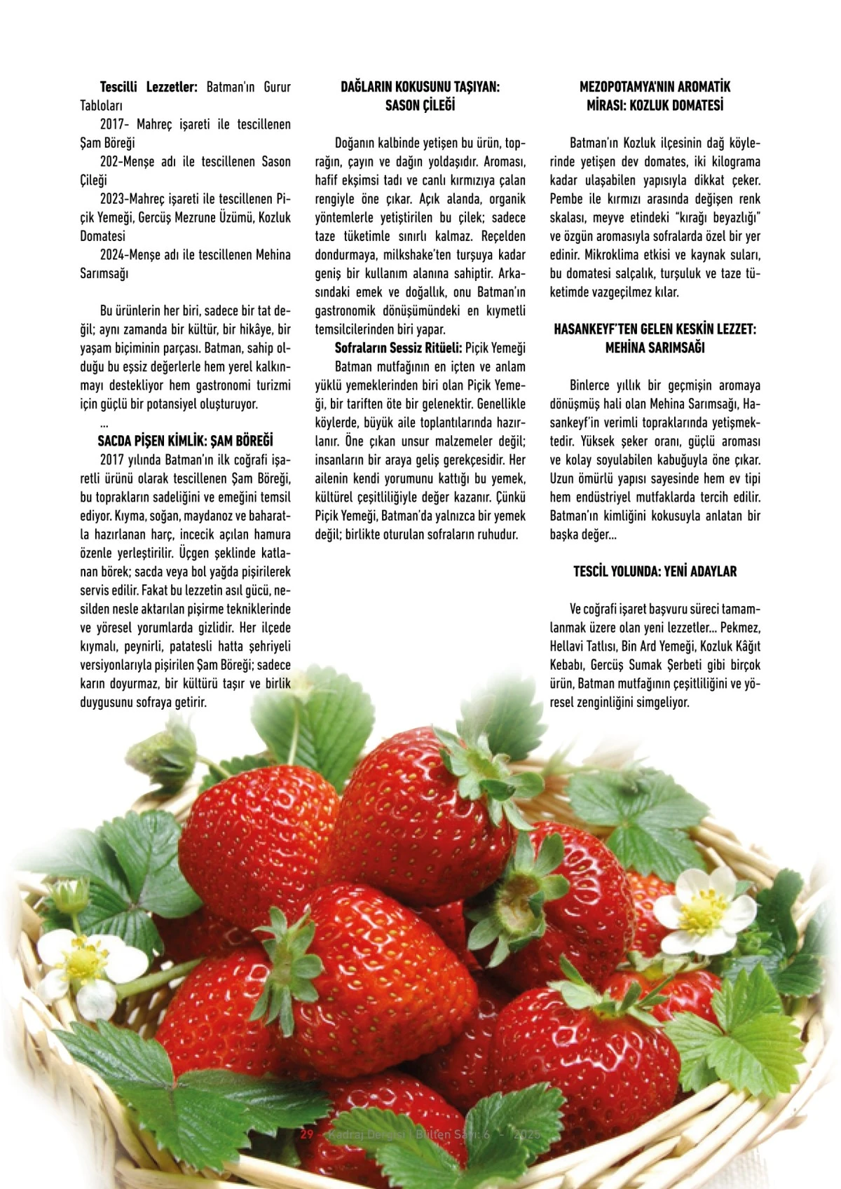 Kadraj Dergisi 6. sayısı
