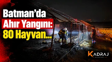Batman&rsquo;da Ahır Yangını: 80 Hayvan...