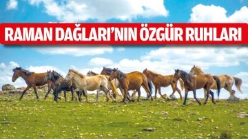 Raman Dağları’nın özgür ruhları
